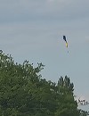 Incident la un aerodrom din judeţul Dolj – Un paraşutist s-ar fi prăbuşit în timpul unui salt, după ce echipamentul nu s-ar fi deschis corespunzător – VIDEO