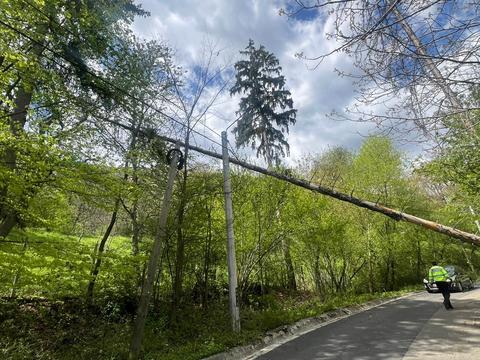 Echipajele de pompieri au intervenit în 12 localităţi din 7  judeţe şi în Bucureşti, pentru înlăturarea efectelor vântului şi ploilor abundente din ultimele 24 de ore - copaci doborâţi, curţi inundate, elemente de construcţie desprinse