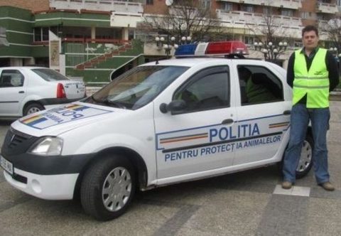 Vrancea: Bărbat acuzat că a ucis un câine, reţinut / L-ar fi lovit de mai multe ori cu un ciocan

