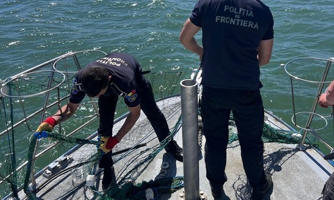 Patru sturioni prinşi în plase ilegale, în Marea Neagră, salvaţi de poliţiştii de frontieră