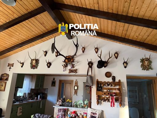 Suceava: 38 de percheziţii într-un dosar de braconaj cinegetic şi nerespectarea regimului armelor / Au fost găsite 11 arme, peste 700 de cartuşe şi trofee de vânătoare / Cinci persoane au fost reţinute în acest caz - FOTO