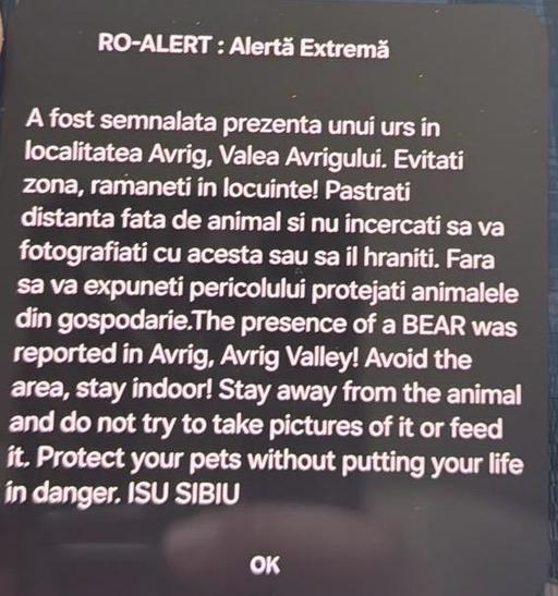 Urs semnalat într-o zonă turistică din judeţul Sibiu / Mesaj RO-Alert
