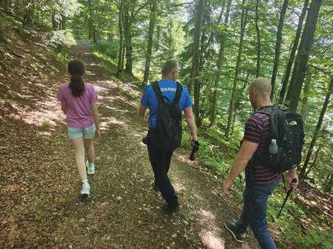 Prahova: Doi turişti care au întâlnit o ursoaică cu doi pui pe un traseu din Muntele Roşu, recuperaţi de către jandarmi

