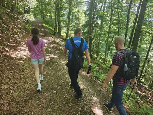 Prahova: Doi turişti care au întâlnit o ursoaică cu doi pui pe un traseu din Muntele Roşu, recuperaţi de către jandarmi