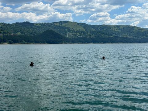 Neamţ: A treia zi de căutări, fără rezultat, în cazul unui bărbat care a căzut dintr-o barcă în lacul Izvorul Muntelui 
