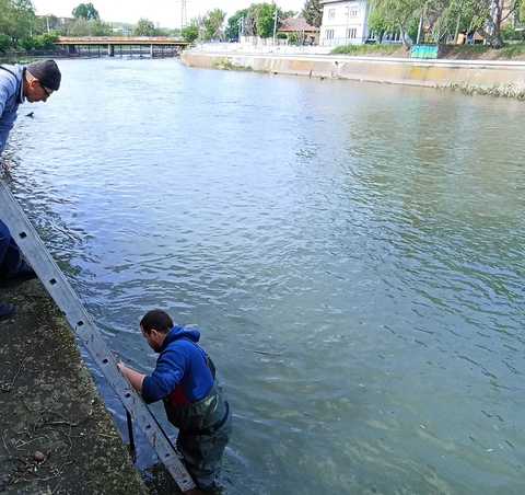 Intervenţie a salvatorilor la Satu Mare, după ce autorităile au fost anunţate că un copil de opt ani a dispărut în apele Someşului
