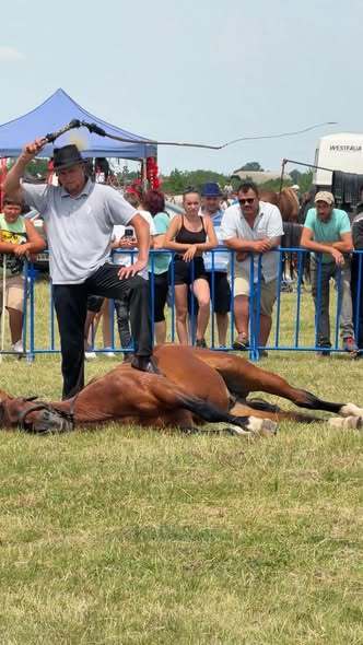 Indignare în mediul online, după ce proprietarul unui cal a fost fotografiat în timp ce maltratează animalul, la târgul de la Medieşu Aurit
