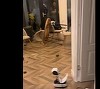 IPJ Dâmboviţa - Bărbat cercetat după ce, aflat sub influenţa alcoolului, a provocat distrugeri în pensiunea în care era cazat. Pagubele sunt evaluate la 20.000 de lei - FOTO