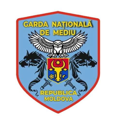 Un ONG din Republica Moldova reclamă că a găsit ”sute, ba chiar mii de permise de conducere româneşti” la o groapă de gunoi / Direcţia Permise: Simpla asemănare vizuală nu este suficientă pentru a confirma autenticitatea 