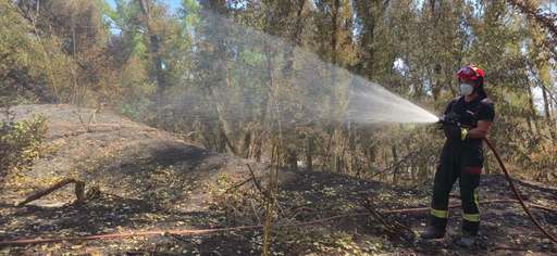 Un nou contingent de pompieri români pleacă în Franţa pentru a ajuta la stingerea incendiilor de pădure de ”amploare excepţională”