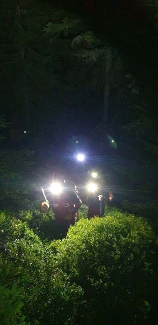 Bihor: Intervenţii ale Salvamont pentru recuperarea unor turişti aflaţi în dificultate în zonele Padiş şi Stâna de Vale - FOTO