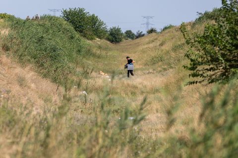 DRONĂ DOBORÂTĂ ÎN BUZĂU – Fragmentele descoperite la ieşirea din Padina au fost examinate cu un sistem portabil de radiografie cu raze X - FOTO