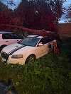 Copac doborât de vânt peste trei autoturisme în municipiul Satu Mare - FOTO