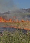 Mehedinţi: Incendiu de vegetaţie uscată pe 300 de hectare şi 60 de hectare de litieră
