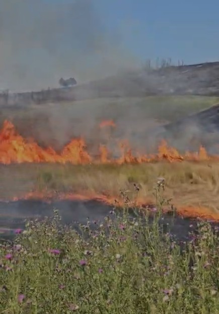 Mehedinţi: Incendiu de vegetaţie uscată pe 300 de hectare şi 60 de hectare de litieră