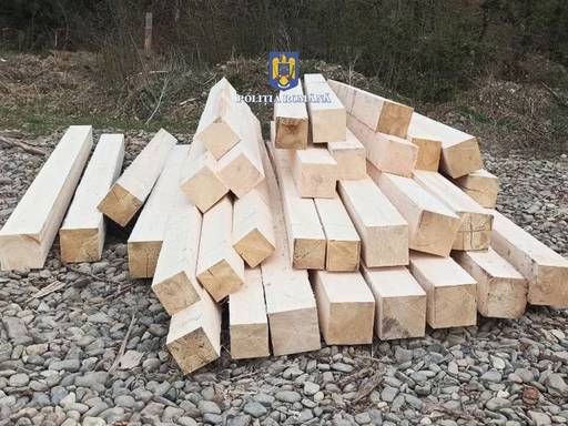 Dolj: Poliţia a confiscat zeci de metri cubi de cherestea pentru că datele privind adresa de destinaţie din aplicaţia SUMAL nu au corespuns cu realitatea
