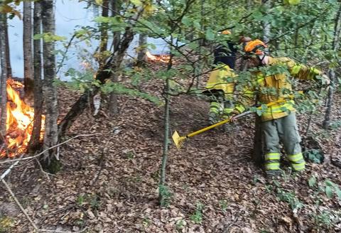 Incendiu puternic în judeţul Bihor. Flăcările au cuprins 21 de hectare de vegetaţie, într-o zonă abruptă/ O casă şi anexe gospodăreşti, salvate în urma intervenţiei pompierilor