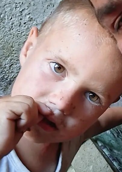 Băiat de trei ani, căutat după ce a plecat de la o stână din judeţul Constanţa şi nu s-a mai întors