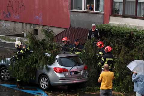 Copaci doborâţi de vânt şi inundaţii, la Braşov, după o rupere de nori şi o furtună - VIDEO
