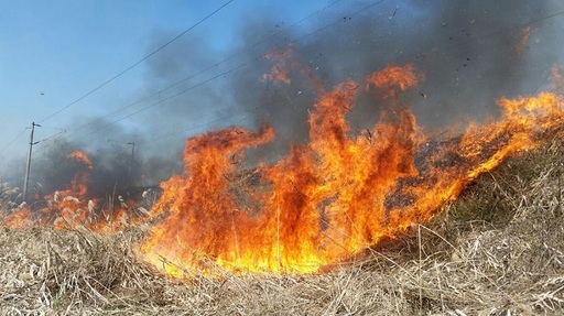 Incendii de vegetaţie în Caraş-Severin - Ard peste 60 de hectare de teren, iar focul a afectat şi Parcul Naţional Domogled - VIDEO