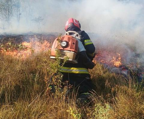 Mobilizare de forţe în Caraş-Severin: Sute de hectare de pădure şi vegetaţie forestieră, afectate de incendii/ La Băile Herculane intervin două elicoptere - FOTO