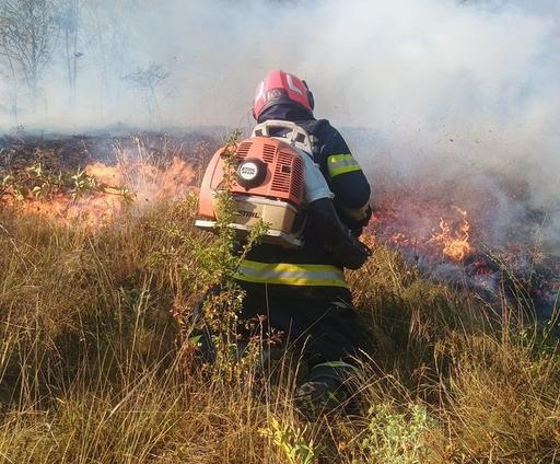 Mobilizare de forţe în Caraş-Severin: Sute de hectare de pădure şi vegetaţie forestieră, afectate de incendii/ La Băile Herculane intervin două elicoptere - FOTO