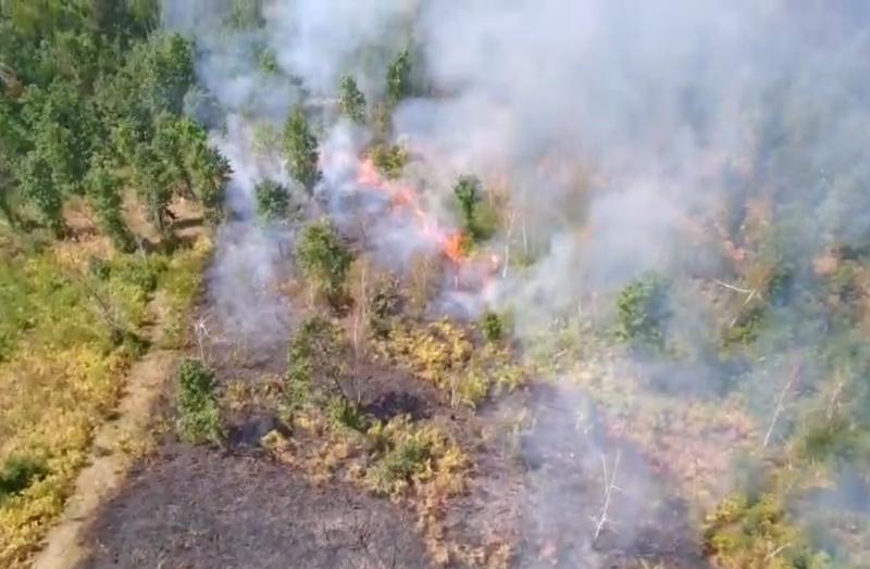 Au ars sute de hectare de pășuni și păduri din Timiș/ Peste 50 de pompieri, unii chemați din turele libere, au fost mobilizați pentru lichidarea focarelor/ Intervenția lor a limitat extinderea flăcărilor la casele oamenilor și la culturile agricole-VIDEO
