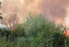 UPDATE - Tulcea: Puternic incendiu de vegetaţie, în apropiere de Chilia Veche, cu pericol de propagare şi la fondul forestier / Nava multirol intervine la faţa locului / Arafat: În Delta Dunării, capacitatea de intervenţie pe apă este esenţială – VIDEO