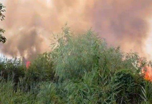 Tulcea: Puternic incendiu de vegetaţie, în apropiere de Chilia Veche, cu pericol de propagare şi la fondul forestier / Nava multirol intervina la faţa locului – VIDEO