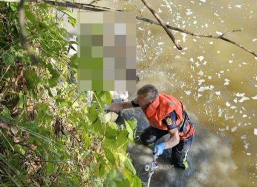Zeci de oi, salvate din râul Mureş de către pompieri. Opt animale au fost scoase moarte din apele râului - FOTO