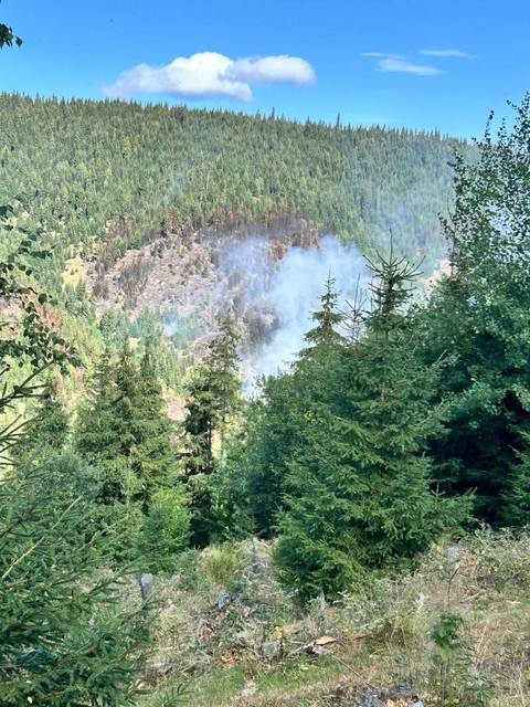 Cluj: Incendiu de vegetaţie uscată şi pădure, la Mărişel, în zona Crucea Iancului/ Accesul autospecialelor pompierilor este limitat, terenul fiind accidentat