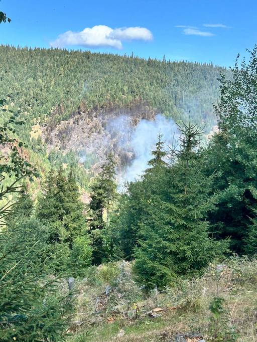 Cluj: Incendiu de vegetaţie uscată şi pădure, la Mărişel, în zona Crucea Iancului/ Accesul autospecialelor pompierilor este limitat, terenul fiind accidentat