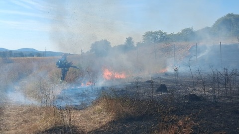 Zeci de hectare de pădure sau vegetaţie uscată au fost mistuite de flăcări în ultimele zile, pe fondul caniculei şi al secetei prelungite/ Cea mai gravă situaţie este în Bihor/ În judeţul Cluj, pompierii continuă acţiunea în zona Mărişel - VIDEO, FOTO 