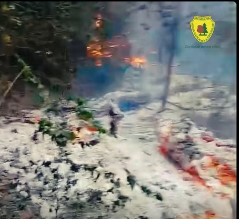 Tulcea: 2000 de metri pătraţi de pădure în zona Plauru, afectaţi de un incendiu / Romsilva susţine, invocând mărturiile localnicilor, că focul ar fi pornit de la explozia unei drone / ISU Tulcea urmează să afle care a fost cauza incendiului - FOTO, VIDEO
