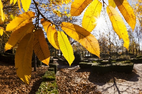 ANM - Temperaturi peste cele obişnuite, în toată ţara, în a doua jumătate a lunii septembrie. Cum va fi vremea în următoarele patru săptămâni


