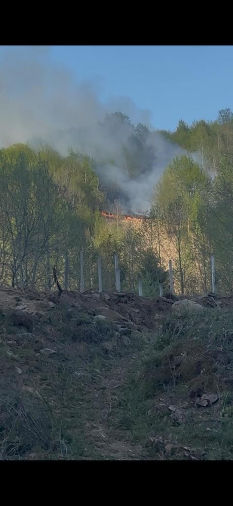 Cluj: Un incendiu de pădure izbucnit miercuri, în urma unui fulger, a fost lichidat, sâmbătă -VIDEO
