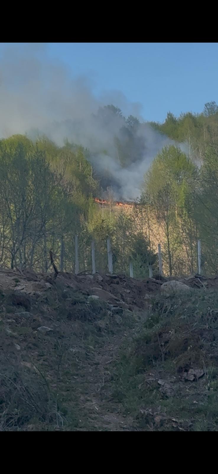 Cluj: Un incendiu de pădure izbucnit miercuri, în urma unui fulger, a fost lichidat, sâmbătă -VIDEO
