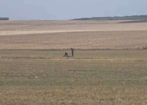 Dronă prăbuşită pe un câmp din judeţul Valui/ Zona a fost izolată şi va fi verificată de un echipaj pirotehnic al SRI