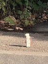 Prahova - Verificări în urma unei sesizări privind o cutie de mici dimensiuni în curtea unui imobil din Ploieşti - FOTO