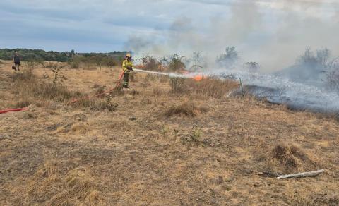 Incendii puternice de pădure în judeţele Bihor şi Vâlcea/ Intervenţiile pompierilor, îngreunate de vânt/ Sâmbătă, aproape toată ţara este sub Cod galben de caniculă/ În Banat şi Oltenia, temperaturi de până la 36 de grade
