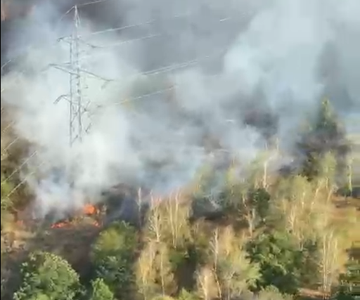 Intervenţii aeriene şi terestre pentru stingerea incendiilor de vegetaţie uscată din judeţul Caraş-Severin/ Autorităţi locale şi cetăţeni sprijină forţele de intervenţie - VIDEO