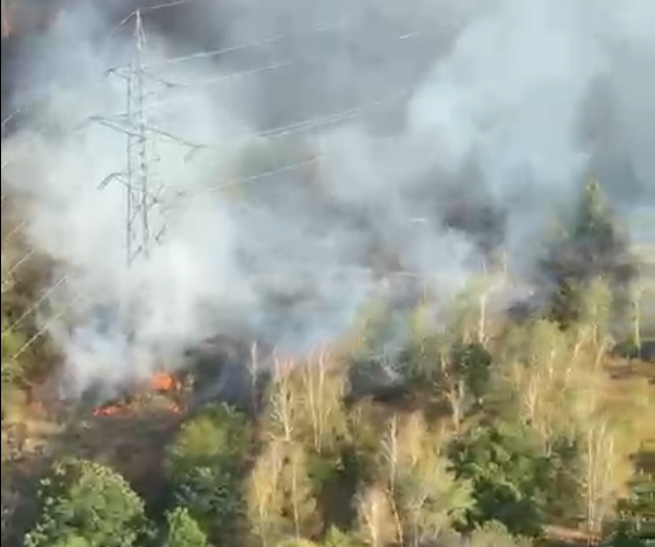 Intervenţii aeriene şi terestre pentru stingerea incendiilor de vegetaţie uscată din judeţul Caraş-Severin/ Autorităţi locale şi cetăţeni sprijină forţele de intervenţie - VIDEO