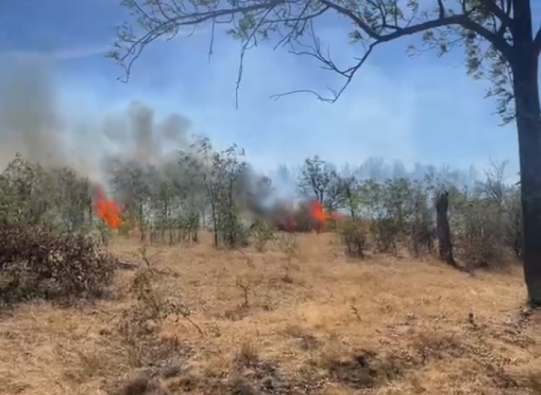 Intervenţii prelungite ale pompierilor militari din Caraş-Severin pentru stingerea incendiilor de pădure care au afectat zeci de hectare din mai multe zone din judeţ