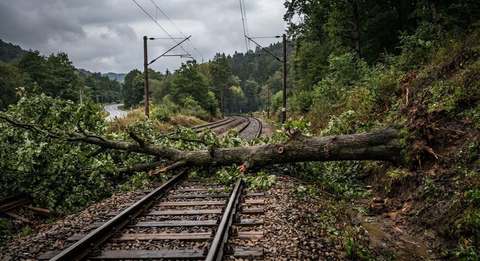 Circulaţie feroviară oprită temporar între Poarta şi Slatina Timiş, pe raza Sucursalei Regionale de Căi Ferate Timişoara, din cauza unui copac căzut pe linia de contact/ n tren de călători staţionează până la remedierea situaţiei