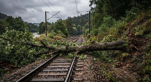 Circulaţie feroviară oprită temporar între Poarta şi Slatina Timiş, pe raza Sucursalei Regionale de Căi Ferate Timişoara, din cauza unui copac căzut pe linia de contact/ n tren de călători staţionează până la remedierea situaţiei