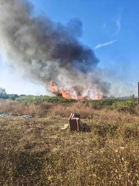 Incendiu de vegetaţie uscată în municipiul Craiova/ Există riscul ca focul să se extindă la locuinţe