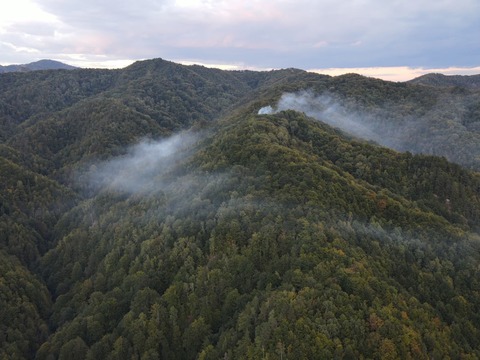 Vâlcea: Patru zile de luptă cu flăcările, pentru stingerea incendiului de pădure de la Băile Olăneşti/ Vântul, terenul accidentat şi suprafaţa mare afectată îngreunează mult misiunea pompierilor/ Au fost afectate 27 de hectare - FOTO, VIDEO