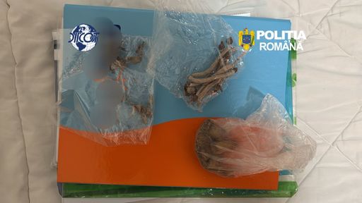 Două persoane, reţinute la Galaţi după ce ar fi adus din Spania canabis şi cocaină prin curier - FOTO