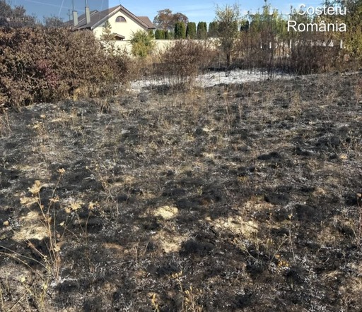 Incendii pe peste 40 de hectare de teren, în Timiş, în doar 24 de ore