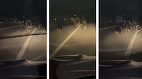 Urşi filmaţi pe carosabil, în judeţul Alba, pe podul peste autostradă – Pare a fi o ursoaică cu trei pui, care fug în faţa unei maşini, chiar pe benzile de circulaţie – VIDEO